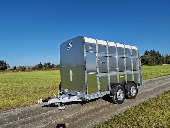 Ifor Williams TA510 12×7 livdyrhenger 2 of 14