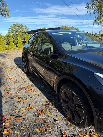 Tesla Model Y 4 of 19
