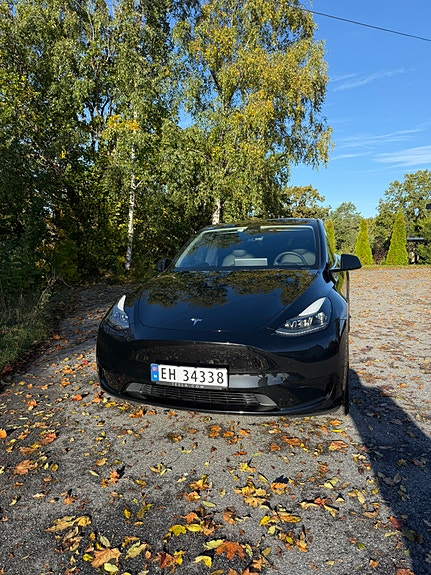 Tesla Model Y 3 of 19
