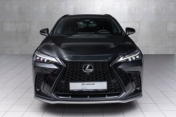 Lexus NX450h 8 of 8