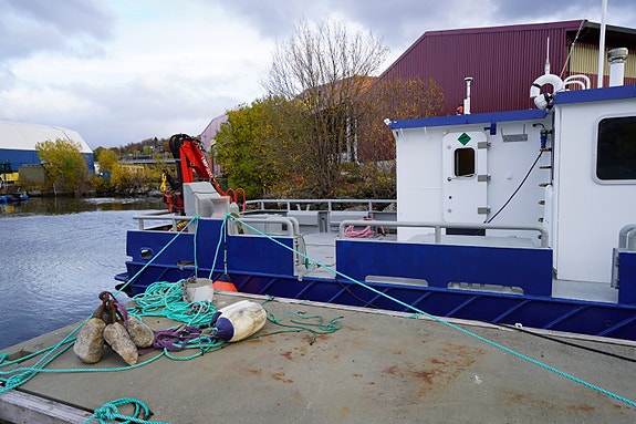 GMV B:53 M/S Draug 6 of 30