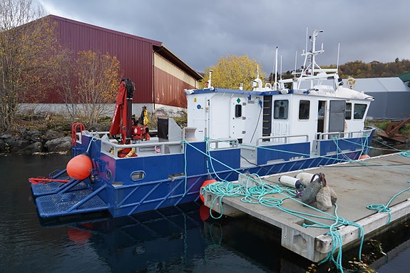 GMV B:53 M/S Draug 7 of 30