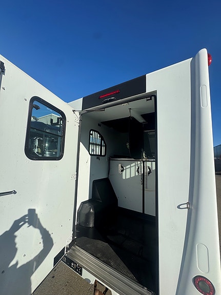 Renault Master Theault Proteo Hestebil  2017 6 of 11