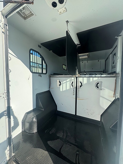 Renault Master Theault Proteo Hestebil  2017 5 of 11