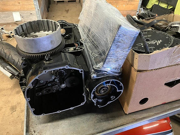 Suzuki 5 of 11