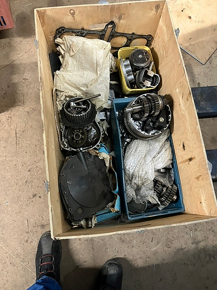 Suzuki 8 of 11