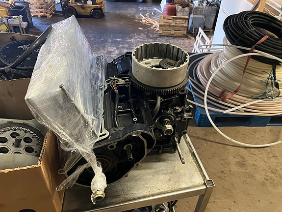 Suzuki 7 of 11