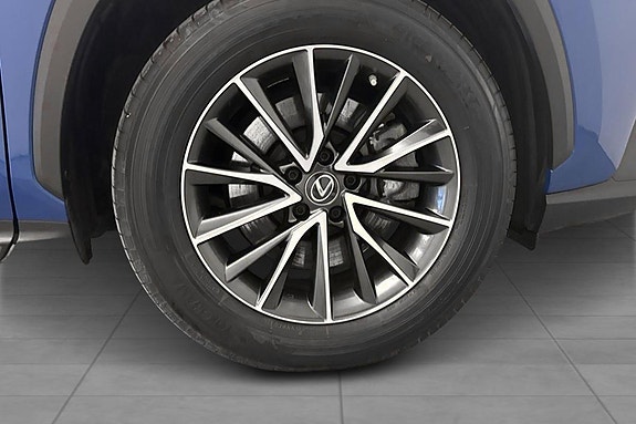 Lexus NX450h 19 of 20