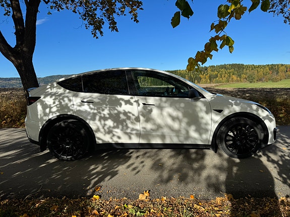 Tesla Model Y 8 of 30
