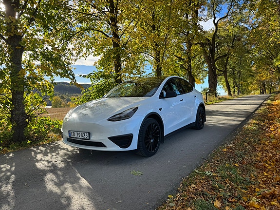 Tesla Model Y 3 of 30