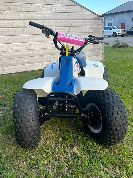 Suzuki Lt 50 4 of 6