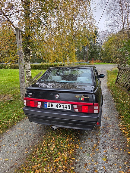 Alfa Romeo 75 13 of 14