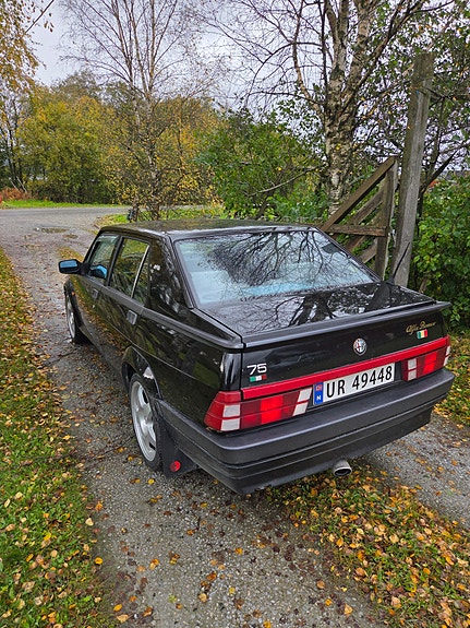 Alfa Romeo 75 14 of 14