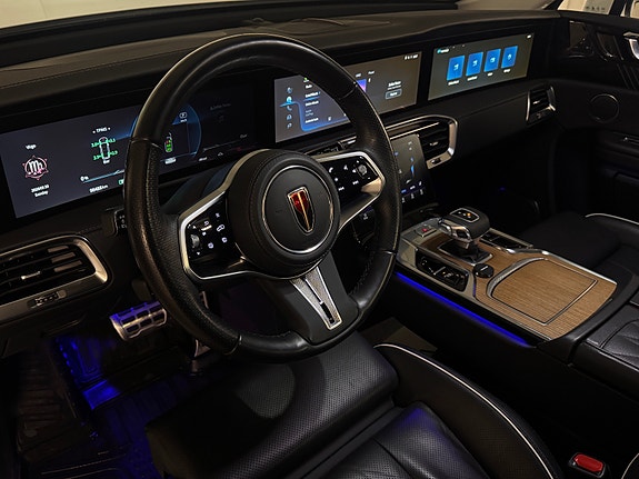 Hongqi E-HS9 12 of 30