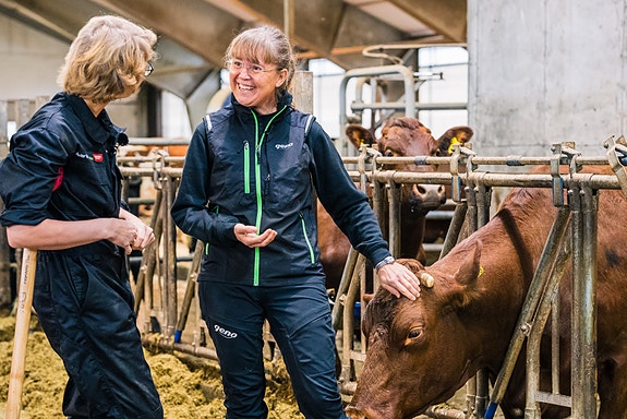 Bilde 1 av 4 i jobbannonse-galleriet