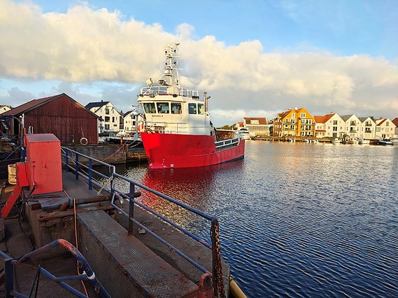 Bilde av 'M/S Buskalg'