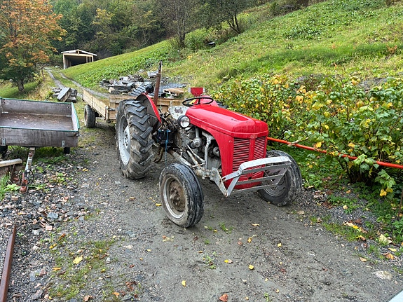 Massey Ferguson Ferguson TE-F20 4 of 5
