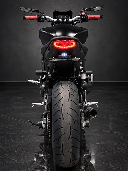 Yamaha MT09 / RAPID BIKE EVO / DOMINATOR / EVOTECH / GRATIS VINTERLAGRING! 5 of 16
