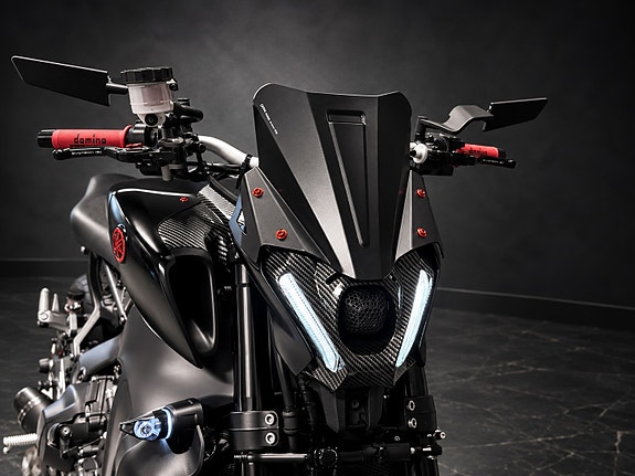 Yamaha MT09 / RAPID BIKE EVO / DOMINATOR / EVOTECH / GRATIS VINTERLAGRING! 8 of 16