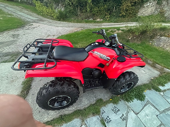 Yamaha Grizzly 11 of 20