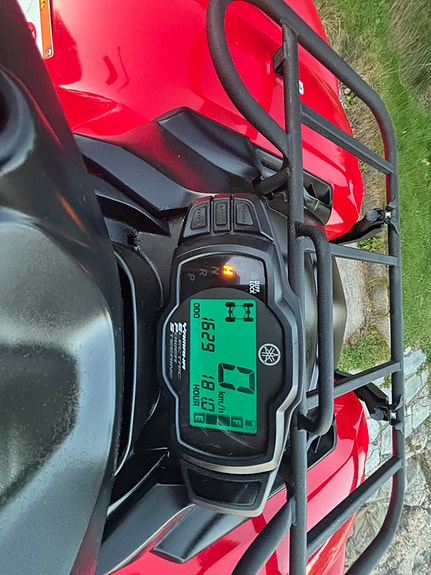 Yamaha Grizzly 13 of 20