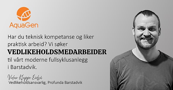 Bilde 1 av 1 i jobbannonse-galleriet