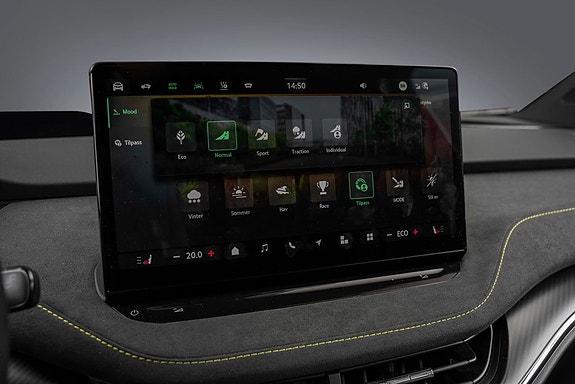 Skoda Enyaq RS 25 of 30