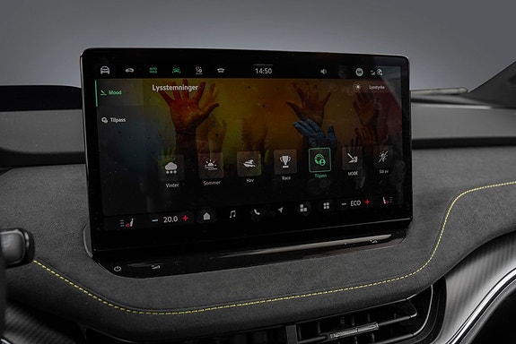 Skoda Enyaq RS 24 of 30