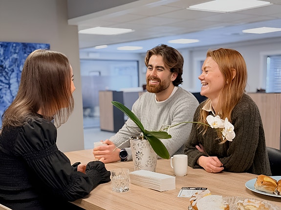 Bilde 1 av 3 i jobbannonse-galleriet