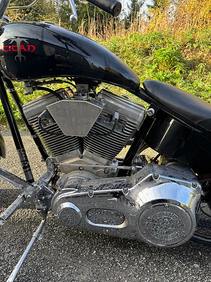 Harley-Davidson titan Sidewinder custom Stivramme! 1750cc s&s 4 of 6