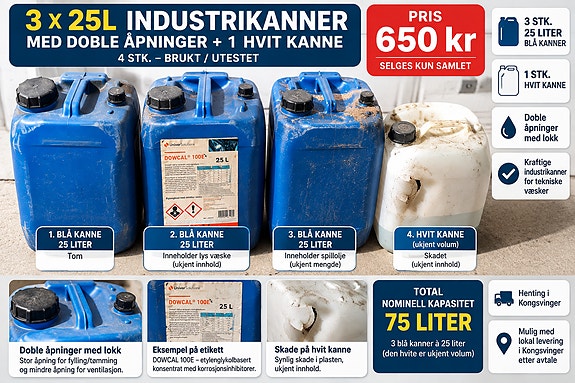 3 × 25L industrikanner med doble åpninger + 1 hvit kanne – 4 stk.