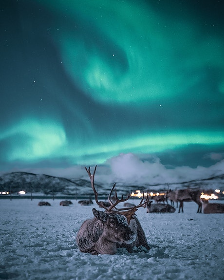 Nordlys i Tromsø