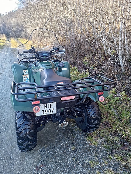 Yamaha Grizzly 700 EPS Quaddy 4 of 7