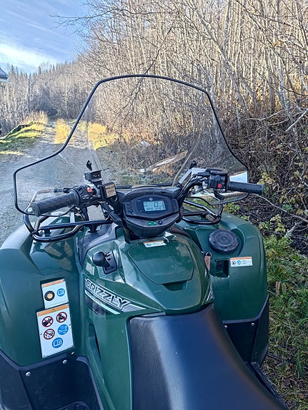 Yamaha Grizzly 700 EPS Quaddy 6 of 7