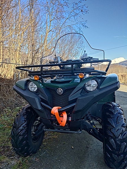 Yamaha Grizzly 700 EPS Quaddy 3 of 7