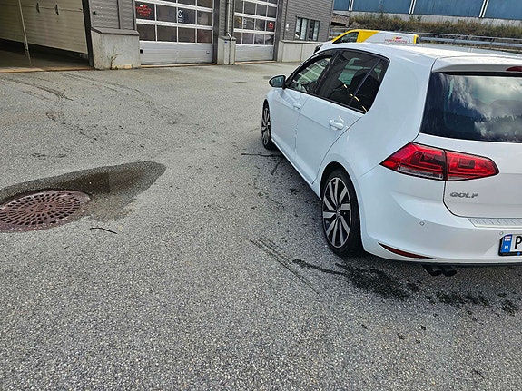 Volkswagen Golf VII 7 of 22