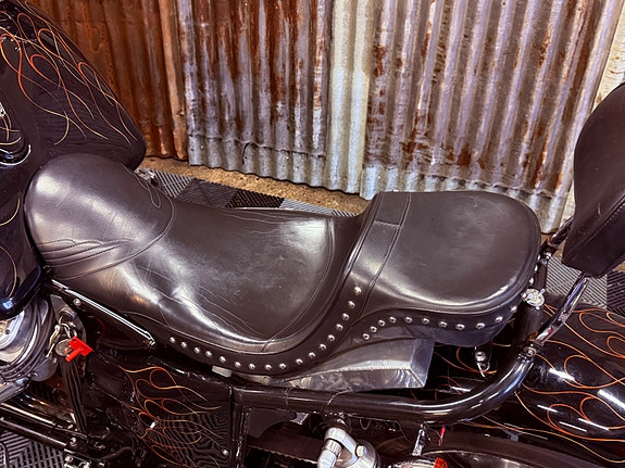 Boss Hoss 350 SBC350 V8/en eier siste 20 år +++ 21 of 30