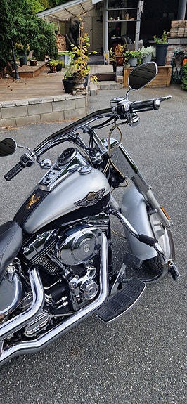 Harley-Davidson FLSTF Fat Boy 4 of 12