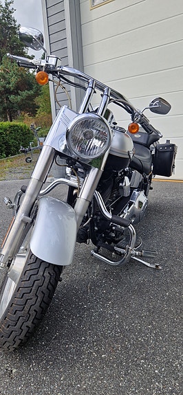 Harley-Davidson FLSTF Fat Boy 6 of 12