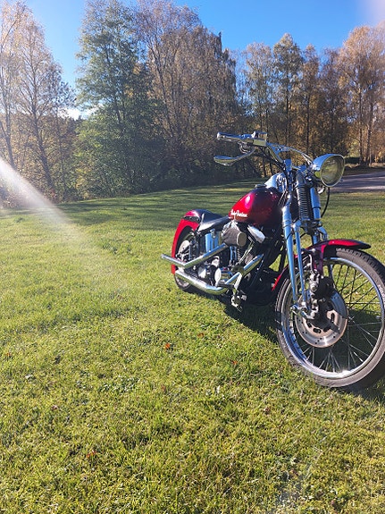 Harley-Davidson FXST Softail Standard / Custom 3 of 5