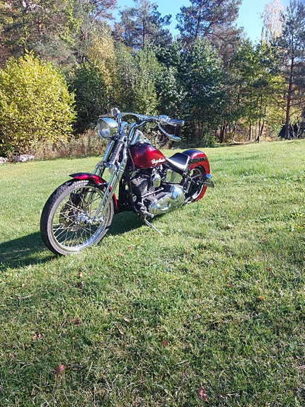 Harley-Davidson FXST Softail Standard / Custom 2 of 5