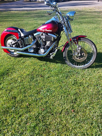 Harley-Davidson FXST Softail Standard / Custom 4 of 5