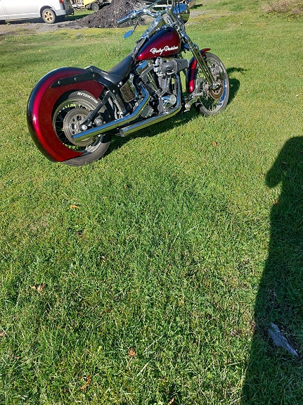 Harley-Davidson FXST Softail Standard / Custom 5 of 5