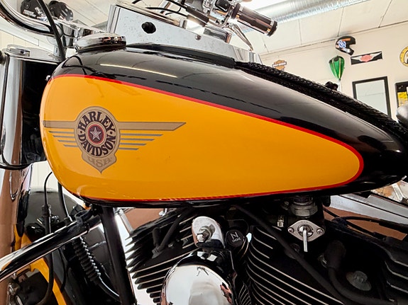 Harley-Davidson FLSTF Fat Boy 22 of 30