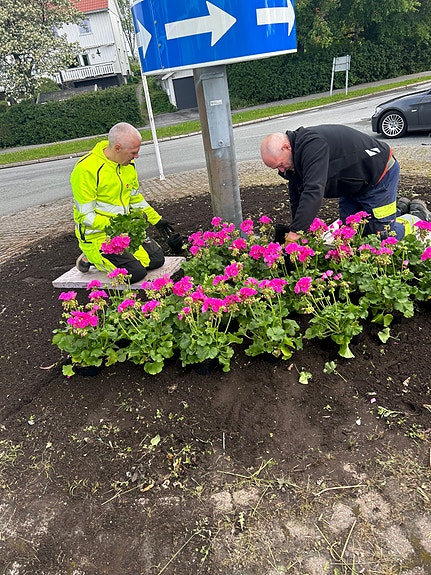Medarbeidere i Parkseksjonen.