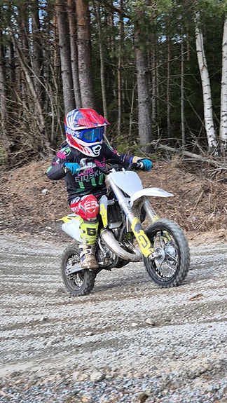 Husqvarna TC50 3 of 3
