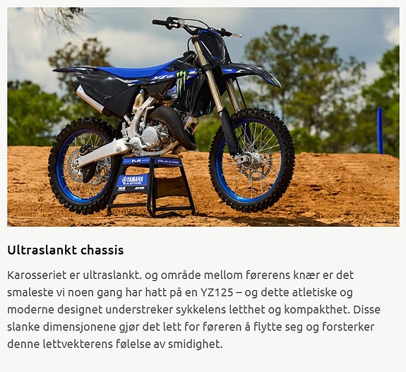 Yamaha YZ 125LC Monster Edition 18 of 24