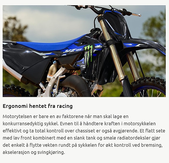 Yamaha YZ 125LC Monster Edition 21 of 24
