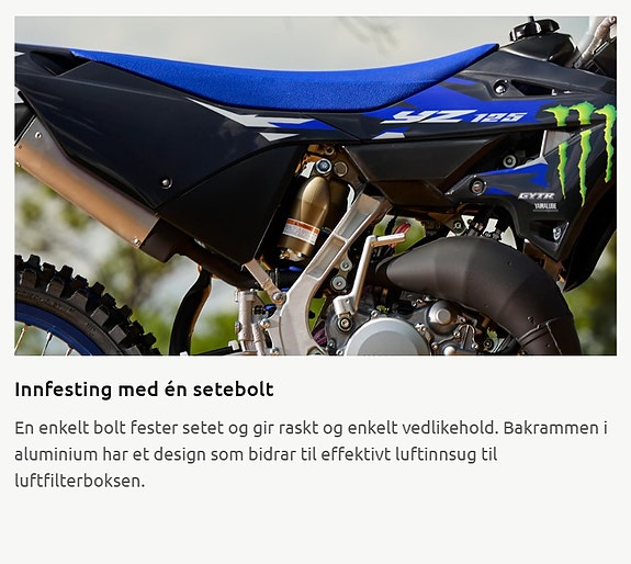 Yamaha YZ 125LC Monster Edition 24 of 24