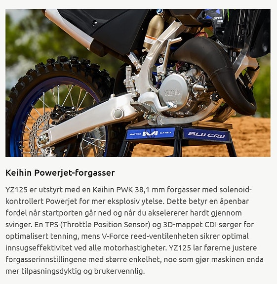 Yamaha YZ 125LC Monster Edition 19 of 24